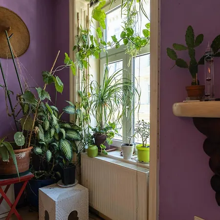 Апартаменты Cosy & Convenient Viennese Charm Вена